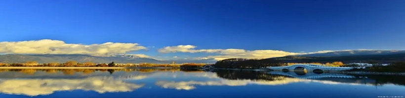 焦点图5