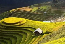 DUX模版修改网站下方版权信息方法-新憧憬