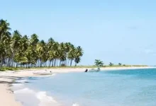 WordPress第四篇,优缺点-新憧憬