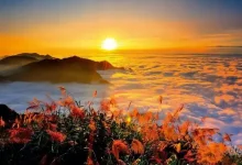 WordPress第八篇,相关信息-新憧憬